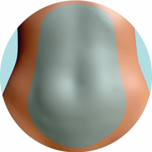 Abdomen Retoque