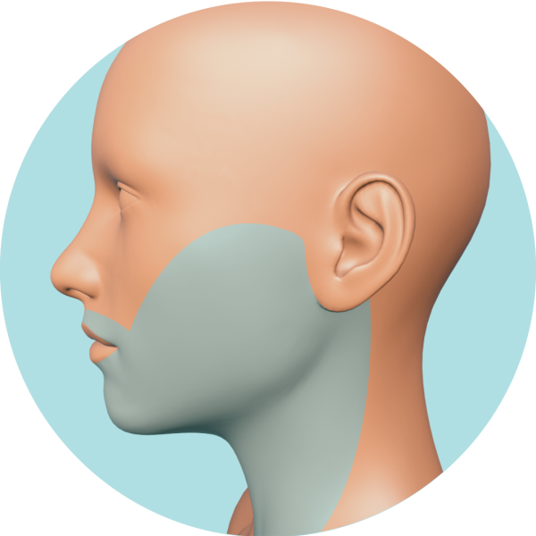 Cara + Cuello