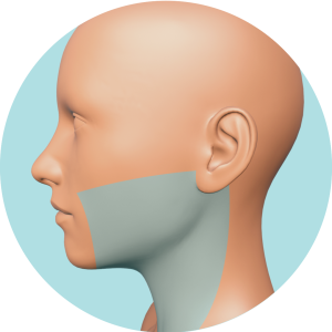 Cara + Cuello no labio o no mentón