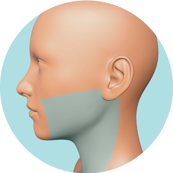 Cara + Cuello no labio o no mentón