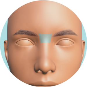 Entre Cejas