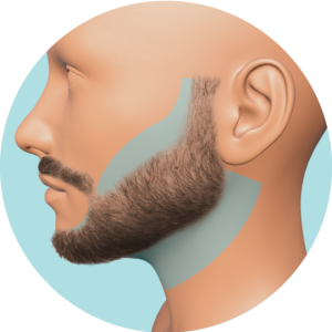 Forma Barba Retoque