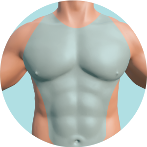 Pecho y Abdomen